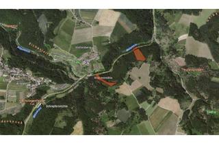 Grundstück zu kaufen in 96260 Weismain, Zwischen Weismain und Stadelhofen - 2 Forstwirtschaftliche Flächen Gmk. Weiden, Lkr. Lichtenfels