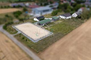 Grundstück zu kaufen in 74635 Kupferzell, Einzigartiges Reiterhof-Anwesen mit Neubauhaus, Stallungen und großzügigem Grundstück