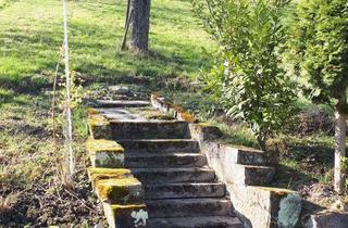 Grundstück zu kaufen in Oberer Berg, 73630 Remshalden, Freizeitgrundstück in aktraktiver Lage