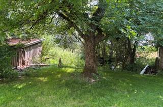 Grundstück zu kaufen in 86947 Weil, WEIL: Idyllisches eingewachsenes Grundstück mit geplantem EFH, ideal für Familien mit Kindern!