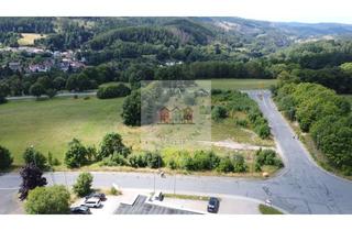 Gewerbeimmobilie kaufen in 98693 Ilmenau, Direkt an der B4 - wenige Minuten bis zu A71 - B.Plan vorhanden