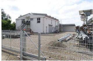 Gewerbeimmobilie kaufen in Am Werrtor 48, 68647 Biblis, Wohn- und Gewerbeobjekt auf 2.416 m² mit zwei Hallen und einer Wohnung