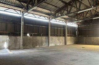Geschäftslokal mieten in 01689 Weinböhla, Optimale Lagerhalle in Weinböhla!