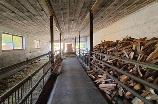 Gewerbeimmobilie kaufen in 29497 Woltersdorf, Vielseitige Lagerhalle / Gewerbeobjekt mit großem Grundstück zu verkaufen