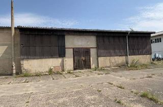 Gewerbeimmobilie mieten in 01689 Weinböhla, Optimale Lagerhalle in Weinböhla!