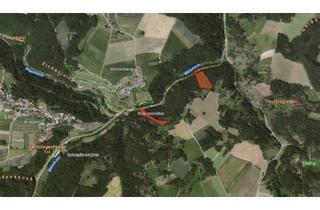 Immobilie kaufen in 96260 Weismain, Zwischen Weismain und Stadelhofen - 2 Forstwirtschaftliche Flächen Gmk. Weiden, Lkr. Lichtenfels