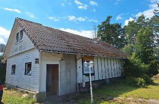 Haus kaufen in 38524 Sassenburg, Sassenburg - ca. 800m2 Grundstück mit Haus im Feriengebiet am Bernsteinsee
