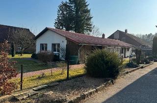 Einfamilienhaus kaufen in 29633 Munster, Munster - Platz für Ihre Wohnträume - Einfamilienhaus mit Einliegerwohnung