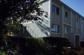 Wohnung mieten in Steinstr 49, 53175 Bad Godesberg, Helle 2,5-Zimmer-Wohnung mit Sonnenbalkon in Bonn-Plittersdorf