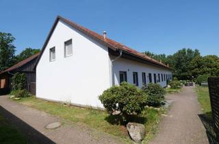 Wohnung mieten in Nienburgerstraße 1D, 31632 Husum, Großzügiges Reiheneckhaus in Husum/Niedersachsen