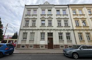 Wohnung mieten in Zwingerstraße 39, 04720 Döbeln, Dachgeschosswohnung mit Flair sucht neue Mieter! Zweiraum-Wohnung im Zentrum