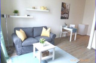Wohnung mieten in August-Bebel-Straße 17A, 01219 Dresden, Möbliertes 2 Zimmer DG-Apartment - mit Dachgarten - frei ab sofort