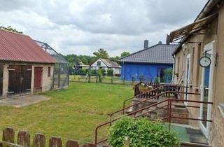 Anlageobjekt in 14641 Paulinenaue, Mehrfamilienhaus, attraktives Anlageobjekt