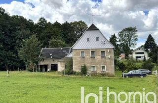 Haus kaufen in 02730 Ebersbach-Neugersdorf, Älteres Wohnhaus mit antiken Eichentüren sucht neuen Eigentümer