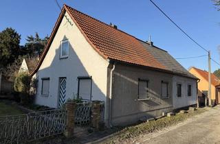 Doppelhaushälfte kaufen in Käthe- Kollwitz- Straße 23, 06667 Weißenfels, +++ Renovierungsbedürftige Doppelhaushälfte +++
