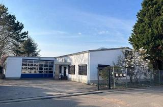 Büro zu mieten in 67547 Weinsheim, Vielseitig nutzbare Hallenfläche mit Büro- und Sozialräumen - HR 4243