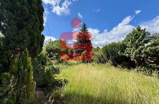 Grundstück zu kaufen in 67435 Geinsheim, Besondere Gelegenheit – Historische Scheune mit großem Garten und attraktivem Ausbaupotenzial