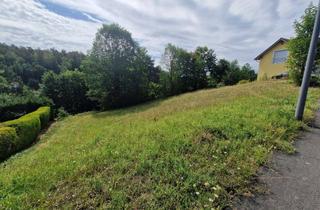 Grundstück zu kaufen in 93491 Stamsried, Baugrundstück mit 934 m² in ruhiger Lage, voll erschlossen und provisionsfrei