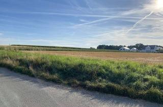 Grundstück zu kaufen in 73257 Köngen, Baugrundstück Neubaugebiet für Doppelhaushälfte