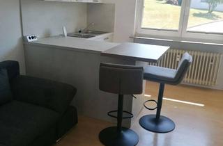 Immobilie mieten in 74838 Limbach, Möblierte Wohnung