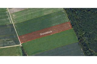 Immobilie kaufen in 86698 Oberndorf, Landwirtschaftliche Fläche mit ca. 1,39 ha in der Gemarkung Oberndorf am Lech