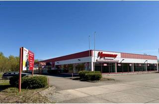 Gewerbeimmobilie mieten in Kaufweg, 16303 Schwedt, Vielseitige 2.000 m² Gewerbefläche in Schwedt – Top-Lage im Gewerbegebiet mit 30m Fensterfront