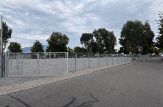 Gewerbeimmobilie mieten in Weidendamm, 15831 Blankenfelde-Mahlow, Flexibel nutzbares Gewerbegrundstück in Blankenfelde-Mahlow