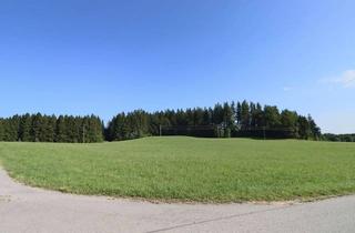 Gewerbeimmobilie kaufen in 86980 Ingenried, Landwirtschaftliches Grundstück in Ingenried/ Krottenhill