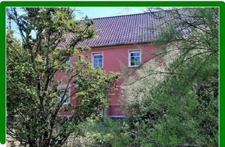 Haus kaufen in 04916 Schönewalde, *** Platz ohne Ende? Fast. Vierseitenhof mit 8 Zimmern, 2 Küchen, 4 Bädern, Scheune, Stallungen, Badeteich u.m. und 6.725 m² Grundstück ***