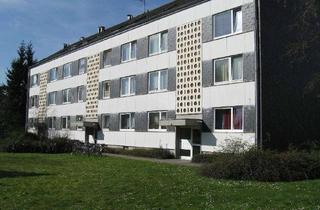 Wohnung mieten in Holbeinweg, 40724 Hilden, 1-Zimmer-Wohnung in Hilden Ost