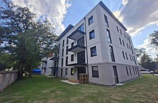 Wohnung mieten in Klingerstraße 14, 01139 Mickten, Großzügige 4 RWG mit Balkon und Lift zu vermieten! Neubauprojekt! EKB möglich!