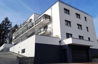 Wohnung mieten in 84066 Mallersdorf-Pfaffenberg, Moderne 2-Zimmer-Wohnung mit Balkon