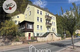 Haus kaufen in 01814 Bad Schandau, MFH an der Elbe in der Sächsischen Schweiz - Bad Schandau