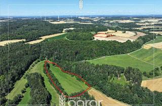 Grundstück zu kaufen in 95349 Thurnau, Attraktives Acker & Grünland (ca. 3 ha) zw. Bayreuth und Hollfeld bei Alladorf, Trumsdorf, Schönfeld