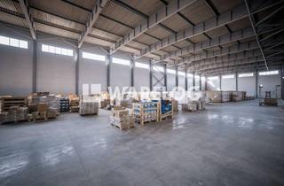 Büro zu mieten in 78658 Zimmern, SOFORT VERFÜGBAR! Repräsentativer Hallenkomplex mit Büros und Freifläche!