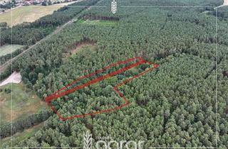 Grundstück zu kaufen in 39638 Berge, Kiefernwald mit Erntepotential (ca. 1,8 ha) zw. Stendal und Gardelegen