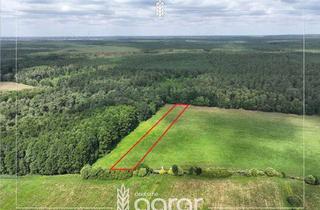 Grundstück zu kaufen in 39638 Letzlingen, Grünland (ca. 0,3 ha) zw. Gardelegen und Letzlingen - am Rande der Colbitz-Letzlinger Heide