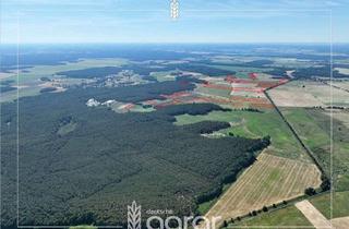 Grundstück zu kaufen in 14547 Beelitz, Landwirtschaftstrio am Rande der Beelitzer Heide - ca. 28 ha Acker, Wald und Wiese - pachtfrei