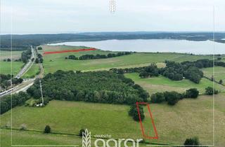 Grundstück zu kaufen in 17459 Loddin, Grünland (ca. 0,9 ha) auf der Ostseeinsel Usedom - zw. Heringsdorf und Ückeritz am Schmollensee