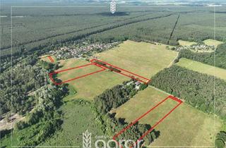 Grundstück zu kaufen in 15528 Spreenhagen, Acker mit kl. Waldanteil (ca. 5 ha) westlich von Fürstenwalde/Spree in Braunsdorf