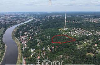 Grundstück zu kaufen in 01326 Loschwitz/Wachwitz, Imposantes Elbhang-Areal (ca. 2 ha) in Dresden Wachwitz