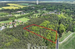 Grundstück zu kaufen in 02953 Gablenz, Laubmischwald (ca. 1,2 ha) - zw. Weißwasser/OL und Bad Muskau am Kromlauer Park