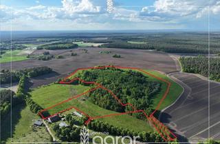 Grundstück zu kaufen in 17268 Templin, Naturbelassener Laubmischwald mit Grünlandgürtel (ca. 14 ha) in der reizvollen Uckermark bei Templin