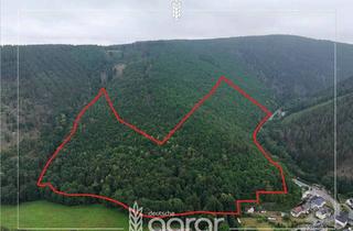 Grundstück zu kaufen in 07429 Döschnitz, Vielseitiger Eichen-Buchen-Nadelmischwald (ca. 15 ha) im Sorbitztal süd-westlich von Bad Blankenburg