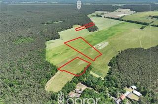 Grundstück zu kaufen in 15910 Schönwald, Acker, Wald und Wiese (ca. 5 ha) im Unterspreewald - bei Lübben