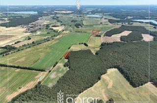 Grundstück zu kaufen in 14547 Beelitz, Pachtfreies Acker- und Grünland (1,2 ha) ohne GVG süd-östlich von Beelitz