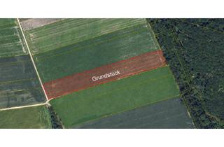 Immobilie kaufen in 86698 Oberndorf, Landwirtschaftliche Fläche mit ca. 1,39 ha in der Gemarkung Oberndorf am Lech