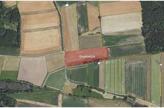 Immobilie kaufen in 86444 Affing, Acker- und Grünlandfläche mit ca. 1,78 ha in Affing
