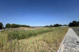 Immobilie kaufen in 76698 Ubstadt-Weiher, Attraktives Baugrundstück im Neubaugebiet „Weiher-Nord“ – erschlossen und sofort bebaubar