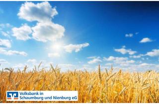 Immobilie kaufen in 31618 Liebenau, Knapp 3 ha Ackerland u. ca. 1,1 ha Wald in Liebenau